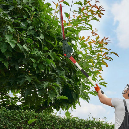 Webb Eco WEV20PHTB2 Cordless Long Reach HedgeTrimmer 20v